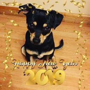 Meet your Posher, Janet